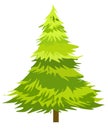 Wood green fir tree vector illustration isolate on white Royalty Free Stock Photo